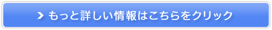 DS炳̔TCg